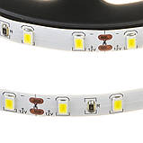 Led стрічка 12В біла smd3528 60LED/m IP65, 1 м, фото 4