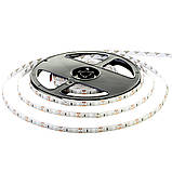 Led стрічка 12В червона smd2835 120LED/m IP20, 1 м, фото 3