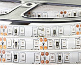 Led стрічка 12В червона smd2835 120LED/m IP20, 1 м, фото 4