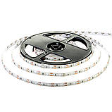 Led стрічка 12В зелена smd2835 120LED/m IP20, 1 м, фото 3
