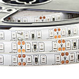 Led стрічка 12В червона smd2835 120LED/m IP65, 1 м, фото 4