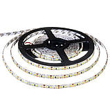 Led стрічка 12В біла smd2835 120LED/m IP65, 1 м, фото 3