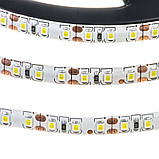Led стрічка 12В біла smd2835 120LED/m IP65, 1 м, фото 4