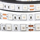 Led стрічка 12 В синя smd5050 60 LED/m IP20, 1 м, фото 4