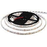 Led стрічка 12В зелена smd5050 60LED/m IP20, 1 м, фото 3