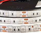 Led стрічка 12В зелена smd5050 60LED/m IP20, 1 м, фото 4
