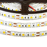 Led стрічка 12 В тепла біла smd5050 60 LED/m IP20, 1 м, фото 4