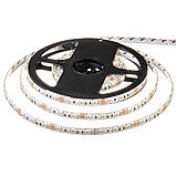 Led стрічка 12 В rgb smd5050 60 LED/m IP20, 1 м, фото 3