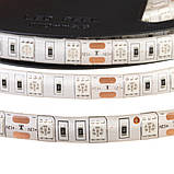 Led стрічка 12В зелена smd5050 60LED/m IP65, 1 м, фото 4