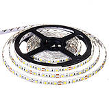 Led стрічка 12В біла smd5050 60LED/m IP65, 1 м, фото 3