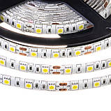 Led стрічка 12В біла smd5050 60LED/m IP65, 1 м, фото 4