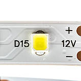 Led стрічка 12 В тепла біла AVT smd2835 60 LED/m IP20, 1 м, фото 3