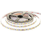 Led стрічка 12В біла AVT smd5050 60 LED/m IP65, 1 м, фото 3