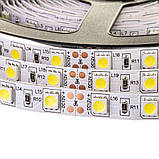 Led стрічка 12В біла AVT smd5050 60 LED/m IP65, 1 м, фото 4