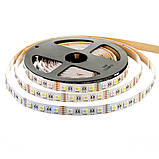 Led стрічка 12 В rgbw AVT smd5050 60 LED/m IP20, 1 м, фото 3