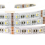 Led стрічка 12 В rgbw AVT smd5050 60 LED/m IP20, 1 м, фото 4