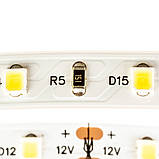Led стрічка 12В біла Motoko smd2835 60 LED/m IP20, 1 м, фото 4