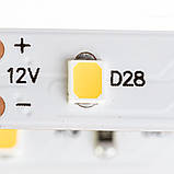 Led стрічка 12В тепла біла Motoko smd2835 60 LED/m IP20, 1 м, фото 4