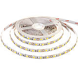 Led стрічка 12В біла Motoko smd5050 60 LED/m IP20, 1 м, фото 3