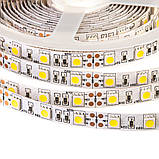 Led стрічка 12В біла Motoko smd5050 60 LED/m IP20, 1 м, фото 4