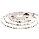 Led стрічка rgb 12В Motoko smd5050 60 LED/m IP20, 1 м, фото 3