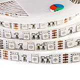 Led стрічка rgb 12В Motoko smd5050 60 LED/m IP20, 1 м, фото 4