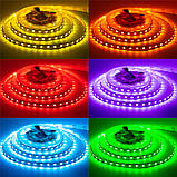Led стрічка rgb 12В Motoko smd5050 60 LED/m IP20, 1 м, фото 5