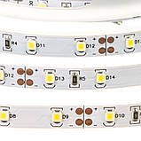 Led стрічка 12В біла AVT-Prof smd2835 60 LED/m IP20, 1 м, фото 4
