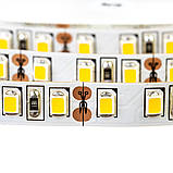 Led стрічка 12В нейтральна біла AVT-Prof smd2835 120LED/m IP20, 1 м, фото 4