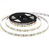 Led стрічка 12В біла нейтральна smd2835 120LED/m IP20, 1 м, фото 3