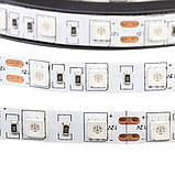 Led стрічка 12 В синя smd5050 60 LED/m IP65, 1 м, фото 4