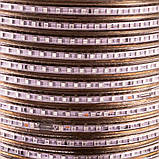 Led стрічка 220 В синя AVT smd2835 120LED/m 4 W IP65, 1 м, фото 3