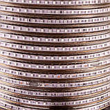 Led стрічка 220 В жовта AVT smd2835 120LED/m 4 W IP65, 1 м, фото 3