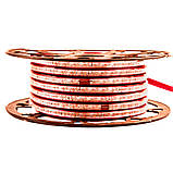 Led стрічка 220В червона smd2835 120LED/m 12 W IP65, 1 м, фото 2