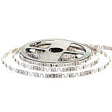 Led стрічка адресна 5В shape smd5050 ws2812b 48 LED/m IP20, 1 м, фото 3