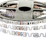 Led стрічка адресна 5В shape smd5050 ws2812b 48 LED/m IP20, 1 м, фото 4