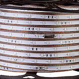 Блимальна Led-стрічка 220 В зелена smd 2835 48led/м 6 Вт/м IP65, 1 м, фото 3