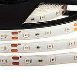 Led стрічка 12 В синя smd2835 60 LED/m IP65, 1 м, фото 3