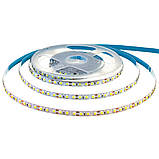 Led стрічка 12В біла AVT-Prof smd2835 120LED/m IP20, 1 м, фото 3