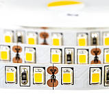Led стрічка 12В біла AVT-Prof smd2835 120LED/m IP20, 1 м, фото 4