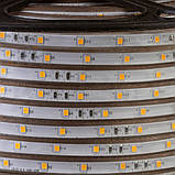 Led стрічка 220В біла тепла smd2835 120LED/m 12 W IP65, 1 м, фото 3