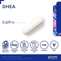 Pure Encapsulations DHEA/ДГЕА/Дегідроепіандростерон 10 мг 180 капсул BX383, фото 4