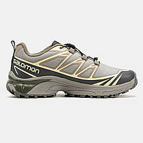 Чоловічі Кросівки Salomon XT-6 Advanced Gore-Tex Vintage / Саломон ХТ-6 Адванст Гор Текс Вінтаж Бежеві, фото 3