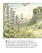 Рік в ожиновому живоплоті, фото 4