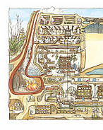 Рік в ожиновому живоплоті, фото 6