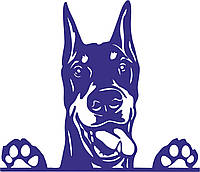 Наклейка вінілова Доберман Doberman 25х22, фото 4