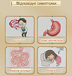 Фу Цзи Лі Чжун Вань 附子理中丸 Fu Zi Li Zhong Wan проти виразки, коліт, гастроентероколіт 200 штук, фото 3