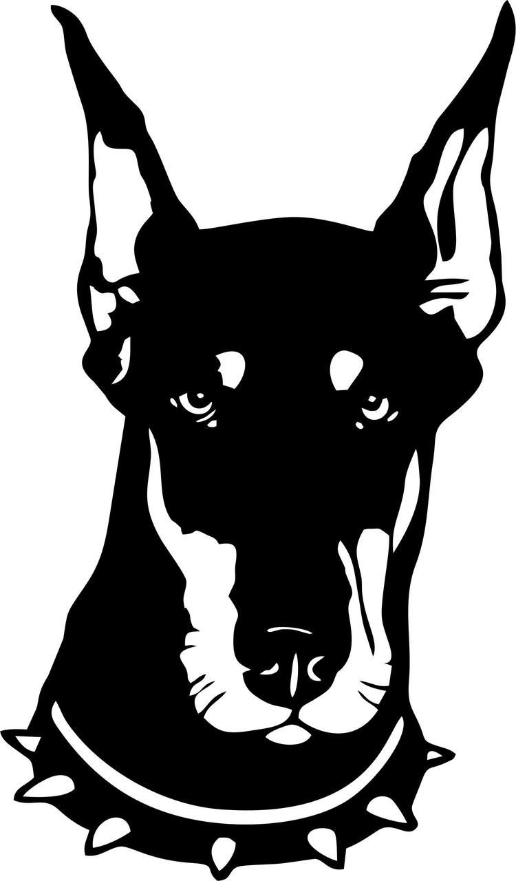 Наклейка Доберман Doberman 13х22см
