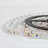 Світлодіодна стрічка OEM ST-12-2835-60-R-20 червона, негерметична, 1м, фото 4