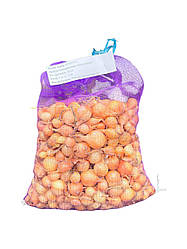 Цибуля Штутті (Штутгартен Різен) ТОР - 1 кг